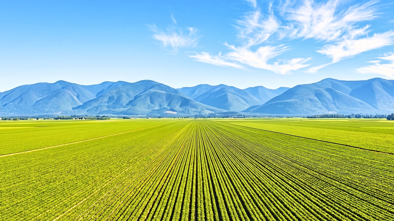 Saakar Chemicals Agriculture