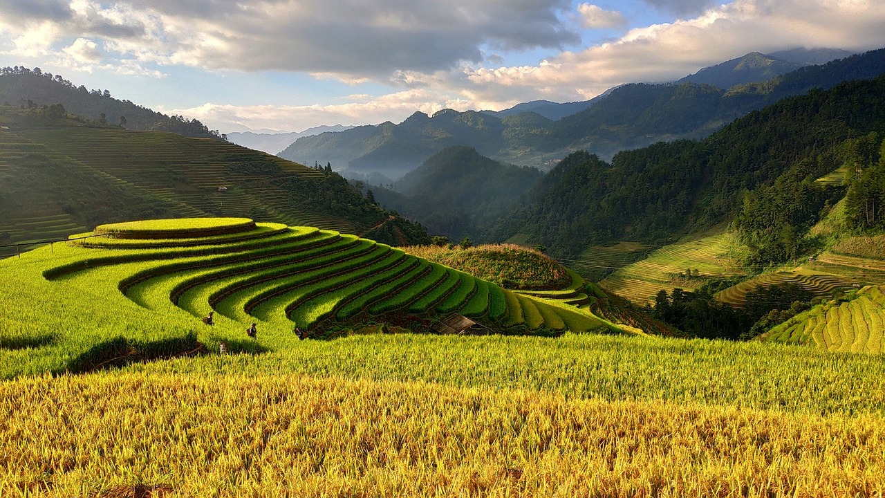 Precision Agriculture